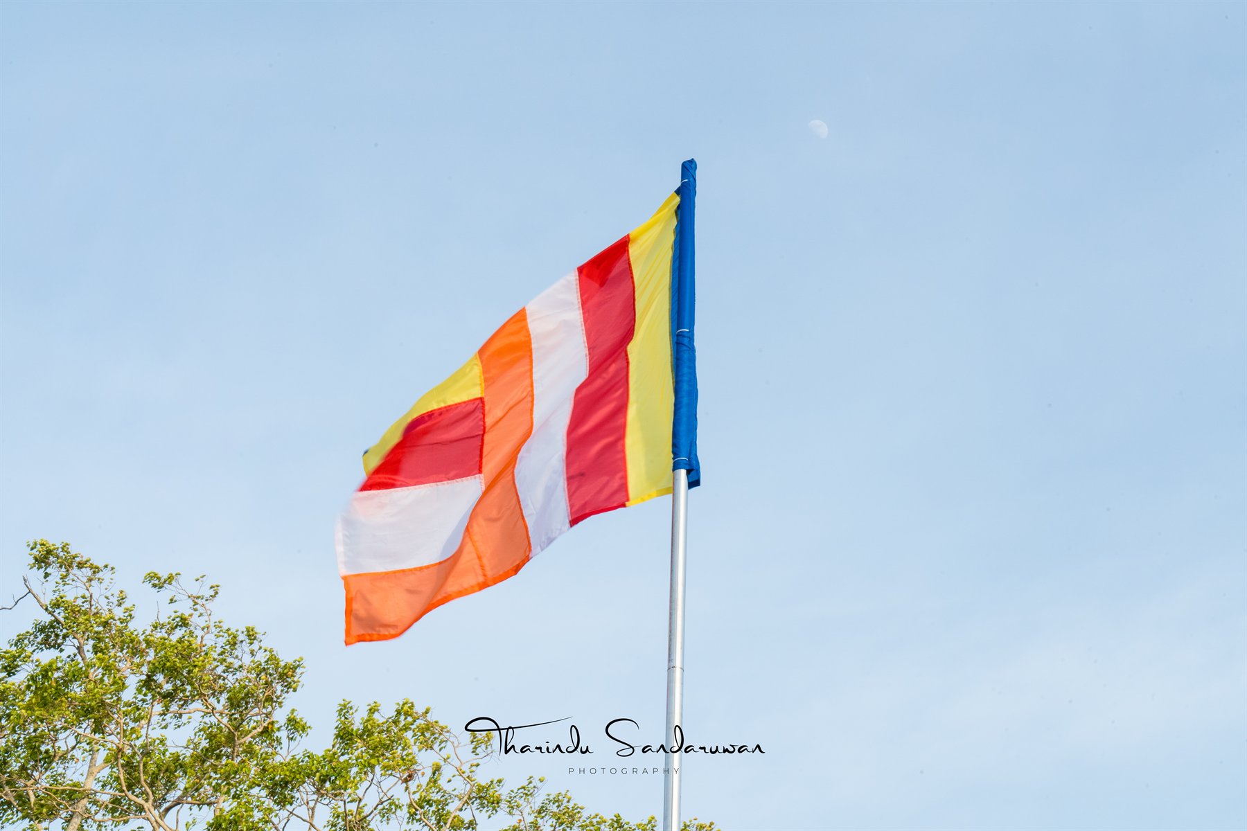 A Buddhist flag flying above trees against a bright sky.